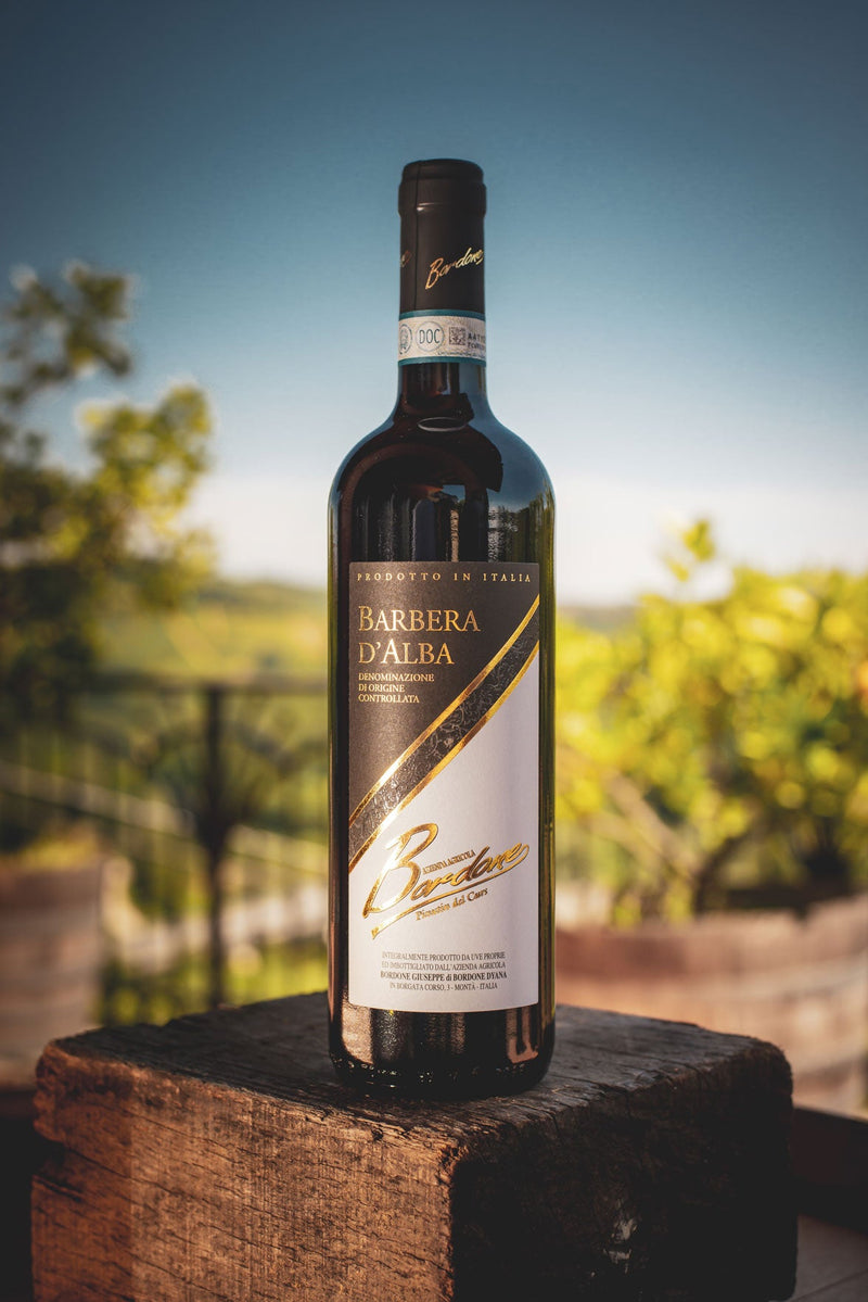 Barbera d&