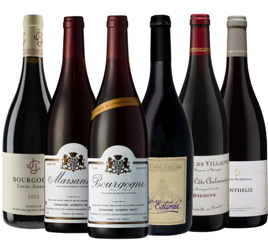 Smagekasse: Bourgogne Rouge 2