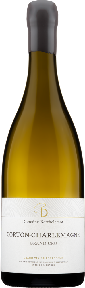 Corton-Charlemagne Grand Cru Blanc 2023