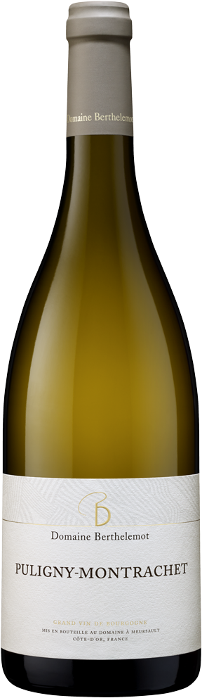 Puligny Montrachet 2023